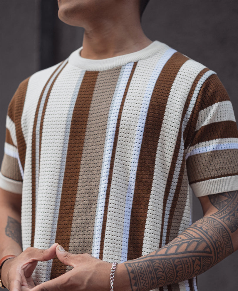 Multicolor Regular Fit Striped Half Sleeves T Shirt